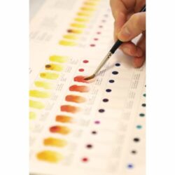 Winsor & Newton Professional Water Colour Dotcard