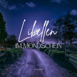 Libellen im Mondschein – Freitag, 15. November 2024 online via Zoom