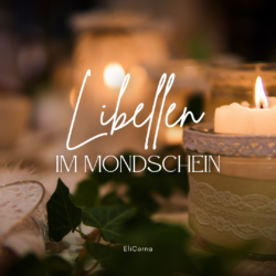 Libellen im Mondschein – Samstag, 14. Dezember 2024 vor Ort